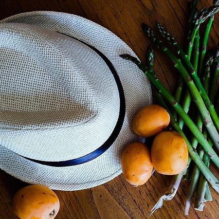 Lago  Colazione Dei Canottieri Bed & Breakfast エクステリア 写真