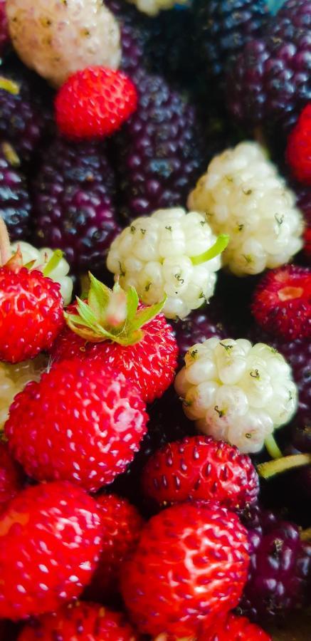 Lago  Colazione Dei Canottieri Bed & Breakfast エクステリア 写真