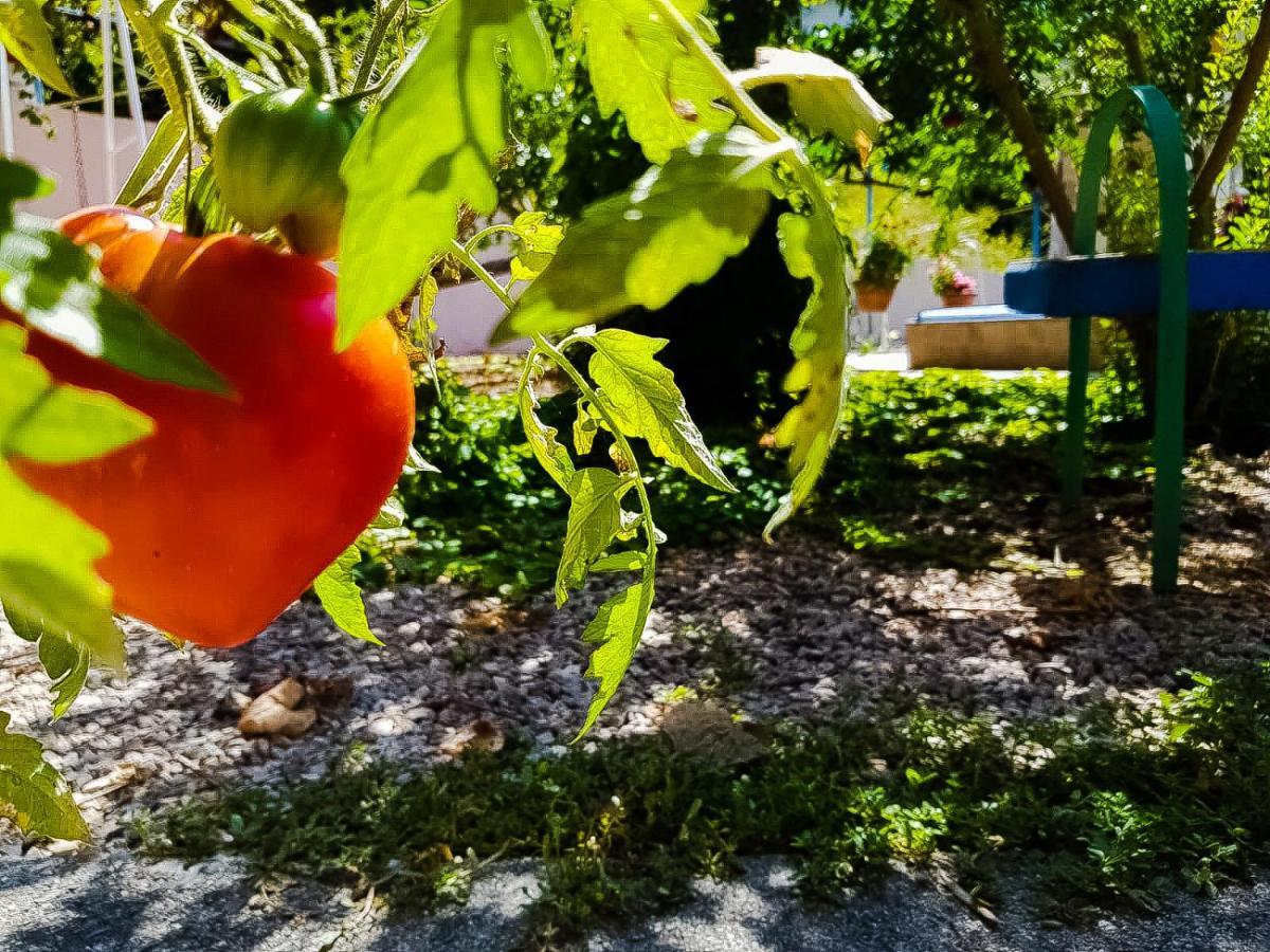 Lago  Colazione Dei Canottieri Bed & Breakfast エクステリア 写真